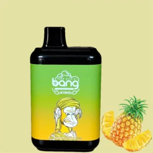 Bang King 8000 Puffs 0% 2% 3% 5% Nikotin eldobható vape nagykereskedés - WINGVAPE - 19