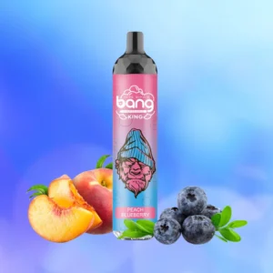 Bang King 6000 Puffs 0% 2% 3% 5% Nicotine Disposable Pod vape Wholesale - WINGVAPE - 10