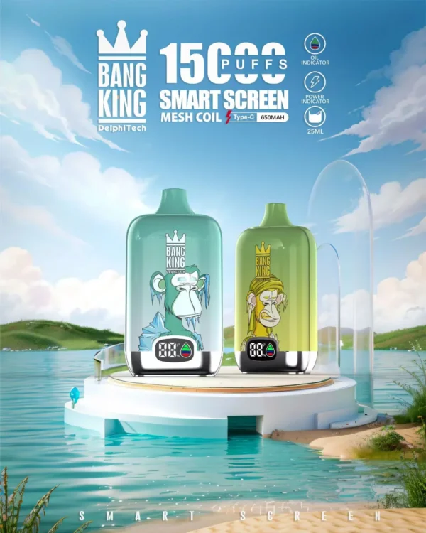 Bang King smartscreen 15000 Puffs 0% 2% 3% 5% Nicotine Rechargeable Disposable Vape Wholesale - WINGVAPE - 1