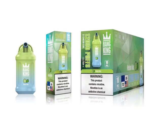 Bang King 12000 Puffs 0% 2% 3% 5% Nicotine Rechargeable Disposable Vape Wholesale - WINGVAPE - 15