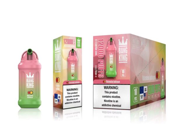 Bang King 12000 Puffs 0% 2% 3% 5% Nicotine Rechargeable Disposable Vape Wholesale - WINGVAPE - 19