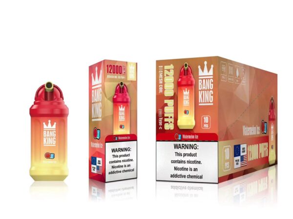Bang King 12000 Puffs 0% 2% 3% 5% Nicotine Rechargeable Disposable Vape Wholesale - WINGVAPE - 6