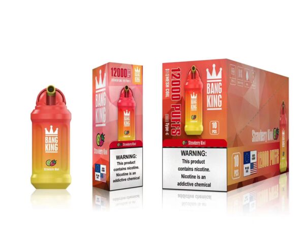 Bang King 12000 Puffs 0% 2% 3% 5% Nicotine Rechargeable Disposable Vape Wholesale - WINGVAPE - 9