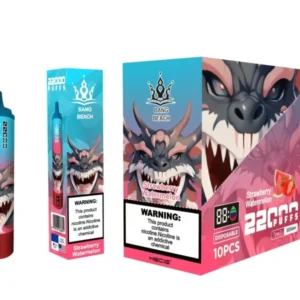 Bang Beach 22000 Puffs 0% 2% 3% 5% Low Nicotine Rechargeable Bulk Buy Disposable Vape Pen Wholesale - WINGVAPE - 13