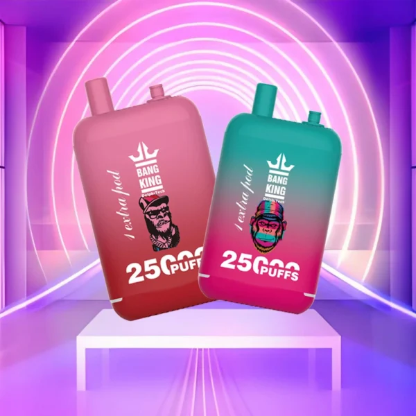 Bang King 25000 Puffs Dual Pods 0% 2% 3% 5% Low Nicotine Rechargeable Disposable Vapes Pen Bulk Buy Wholesale - WINGVAPE - 1